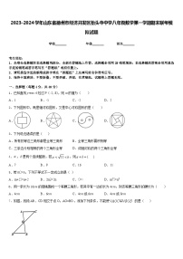 2023-2024学年山东省德州市经济开发区抬头寺中学八年级数学第一学期期末联考模拟试题含答案