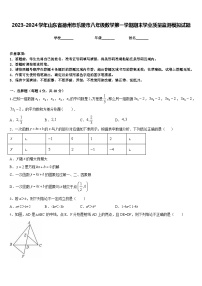 2023-2024学年山东省德州市乐陵市八年级数学第一学期期末学业质量监测模拟试题含答案