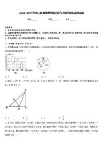 2023-2024学年山东省德州市临邑县八上数学期末监测试题含答案