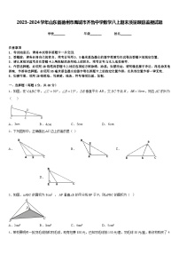 2023-2024学年山东省德州市禹城市齐鲁中学数学八上期末质量跟踪监视试题含答案