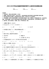 2023-2024学年山东省德州市禹城市数学八上期末综合测试模拟试题含答案