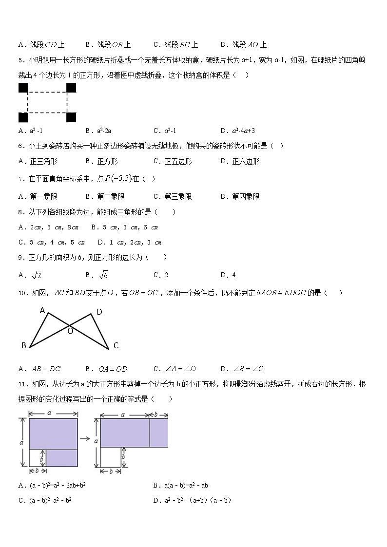 2023-2024学年山东省东营市油田学校八上数学期末考试模拟试题含答案02