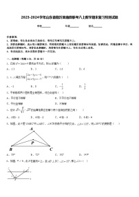 2023-2024学年山东省临沂莒南县联考八上数学期末复习检测试题含答案