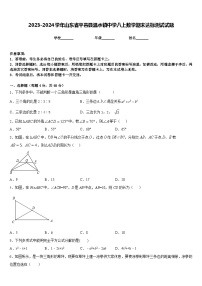 2023-2024学年山东省平邑县温水镇中学八上数学期末达标测试试题含答案