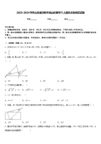 2023-2024学年山东省日照市岚山区数学八上期末达标测试试题含答案