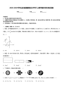 2023-2024学年山东省望留镇庄头中学八上数学期末综合测试试题含答案