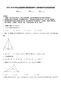 2023-2024学年山东省威海文登区四校联考八上数学期末学业质量监测试题含答案