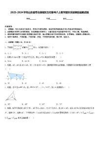 2023-2024学年山东省枣庄薛城区五校联考八上数学期末质量跟踪监视试题含答案