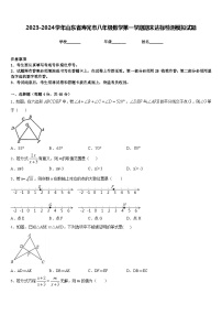 2023-2024学年山东省寿光市八年级数学第一学期期末达标检测模拟试题含答案