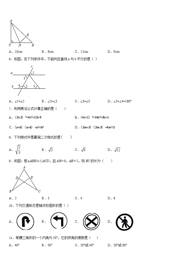 2023-2024学年山东省枣庄市薛城区舜耕中学数学八上期末教学质量检测试题含答案第2页