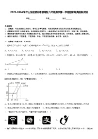 2023-2024学年山东省滨州市滨城区八年级数学第一学期期末经典模拟试题含答案