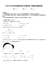 2023-2024学年山东省滨州市名校八年级数学第一学期期末监测模拟试题含答案