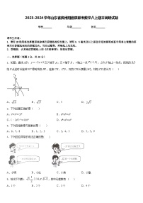 2023-2024学年山东省滨州阳信县联考数学八上期末调研试题含答案