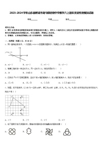 2023-2024学年山东省肥城市湖屯镇初级中学数学八上期末质量检测模拟试题含答案