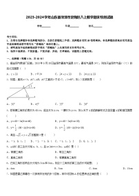 2023-2024学年山东省菏泽市定陶区八上数学期末检测试题含答案