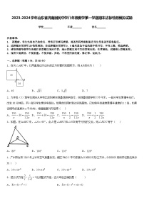 2023-2024学年山东省济南回民中学八年级数学第一学期期末达标检测模拟试题含答案