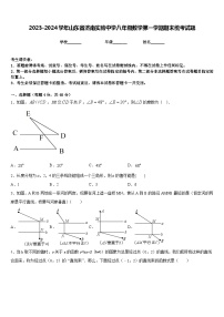 2023-2024学年山东省济南实验中学八年级数学第一学期期末统考试题含答案