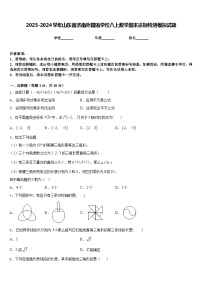 2023-2024学年山东省济南外国语学校八上数学期末达标检测模拟试题含答案