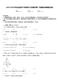 2023-2024学年山东省济宁市邹城市八年级数学第一学期期末调研模拟试题含答案