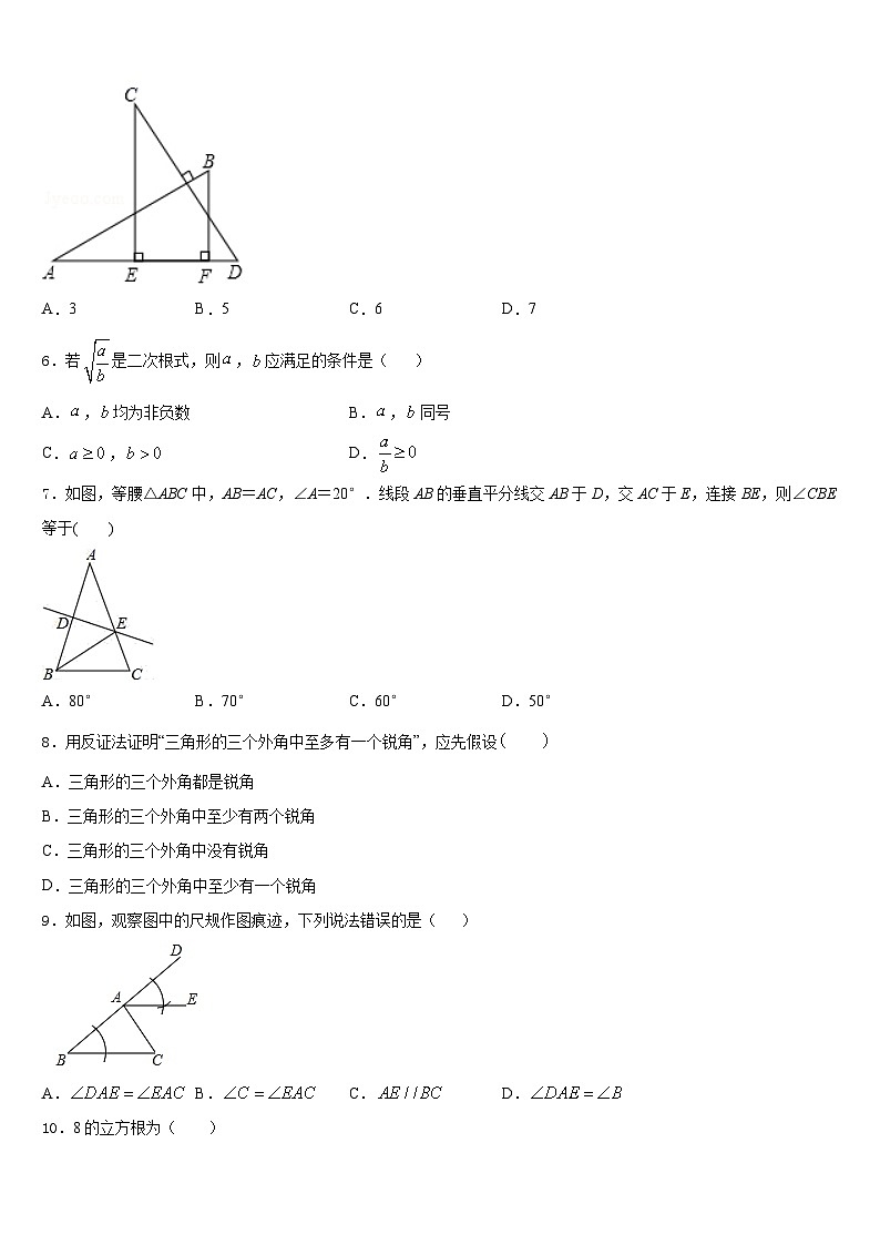 2023-2024学年山东省金乡县数学八年级第一学期期末教学质量检测试题含答案第2页