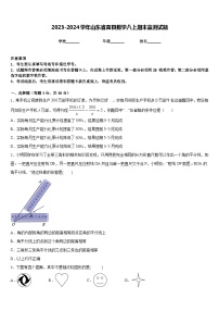 2023-2024学年山东省莒县数学八上期末监测试题含答案