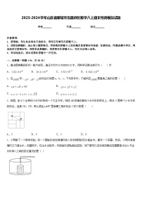 2023-2024学年山东省聊城市东昌府区数学八上期末检测模拟试题含答案