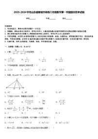 2023-2024学年山东省聊城市莘县八年级数学第一学期期末统考试题含答案