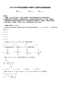 2023-2024学年山东省青岛4中数学八上期末学业质量监测试题含答案