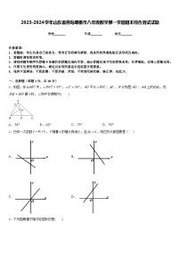 2023-2024学年山东省青岛即墨市八年级数学第一学期期末综合测试试题含答案