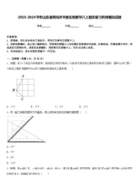 2023-2024学年山东省青岛市平度实验数学八上期末复习检测模拟试题含答案