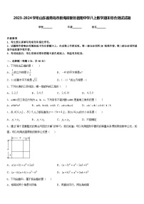 2023-2024学年山东省青岛市新海岸新区信阳中学八上数学期末综合测试试题含答案