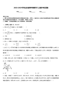 2023-2024学年山东省邹平县数学八上期末考试试题含答案