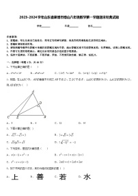 2023-2024学年山东省淄博市博山八年级数学第一学期期末经典试题含答案