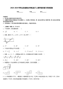 2023-2024学年山东省烟台市莱山区八上数学期末复习检测试题含答案