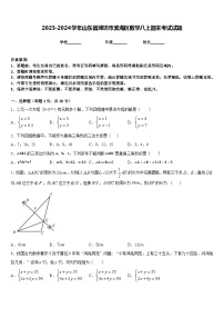 2023-2024学年山东省潍坊市滨海区数学八上期末考试试题含答案