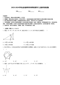 2023-2024学年山东省潍坊市寒亭区数学八上期末检测试题含答案