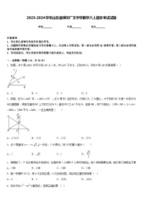 2023-2024学年山东省潍坊广文中学数学八上期末考试试题含答案