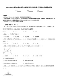 2023-2024学年山东省烟台市福山区数学八年级第一学期期末检测模拟试题含答案