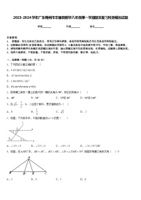 2023-2024学年广东梅州市丰顺县数学八年级第一学期期末复习检测模拟试题含答案