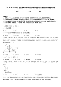 2023-2024学年广东省东莞市常平嘉盛实验学校数学八上期末调研模拟试题含答案