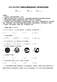 2023-2024学年广东省佛山市南海区狮山镇八上数学期末检测试题含答案