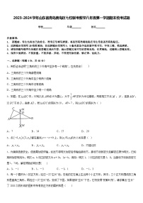 2023-2024学年山东省青岛黄岛区七校联考数学八年级第一学期期末统考试题含答案