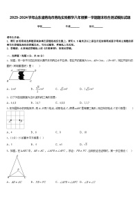 2023-2024学年山东省青岛市青岛实验数学八年级第一学期期末综合测试模拟试题含答案