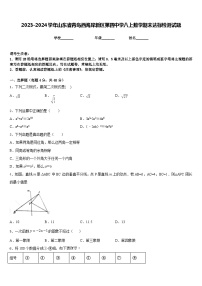 2023-2024学年山东省青岛西海岸新区第四中学八上数学期末达标检测试题含答案