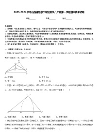 2023-2024学年山西省阳泉市城区数学八年级第一学期期末统考试题含答案