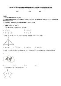 2023-2024学年山西省朔州地区数学八年级第一学期期末检测试题含答案