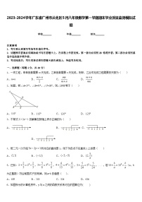 2023-2024学年广东省广州市从化区5月八年级数学第一学期期末学业质量监测模拟试题含答案