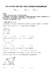 2023-2024学年广东省广州市广大附中八上数学期末学业质量监测模拟试题含答案