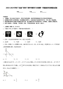 2023-2024学年广东省广州市广州中学数学八年级第一学期期末检测模拟试题含答案