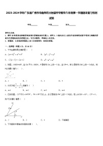 2023-2024学年广东省广州市华南师范大附属中学数学八年级第一学期期末复习检测试题含答案